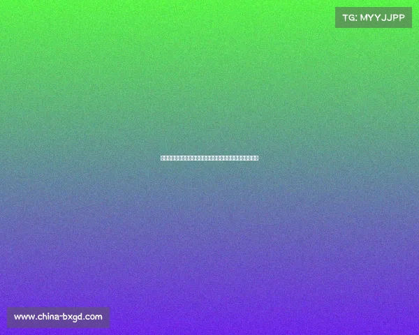 夏洛特黄蜂队本赛季职业篮球赛事专辑深入解析球队表现与亮点